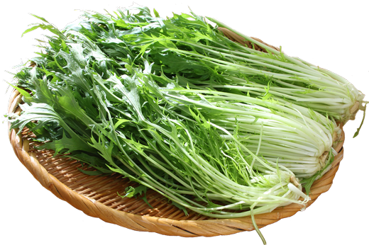 水菜